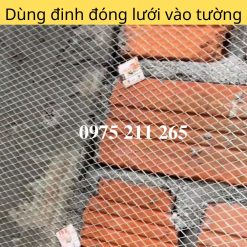 luoi mat cao