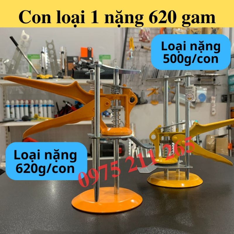 con đôi gạch ốp lát