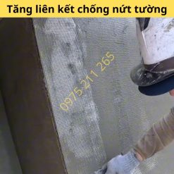 gia luoi thuy tinh chong but
